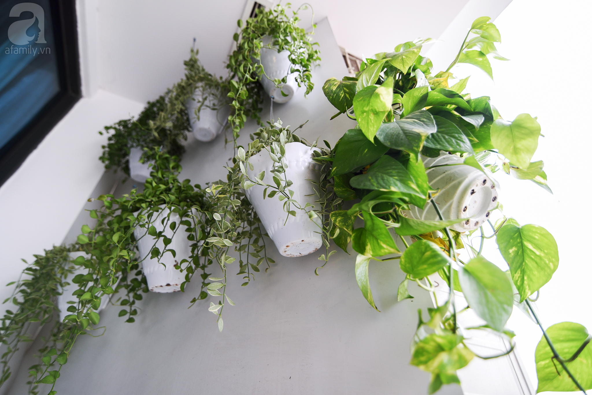 Căn hộ 166m² vừa rộng, vừa thoáng khiến bạn phải xuýt xoa đúng là nhà người ta ở Thanh Xuân - Ảnh 19. Căn hộ 166m² vừa rộng, vừa thoáng khiến bạn phải xuýt xoa đúng là nhà người ta ở Thanh Xuân - Ảnh 19.