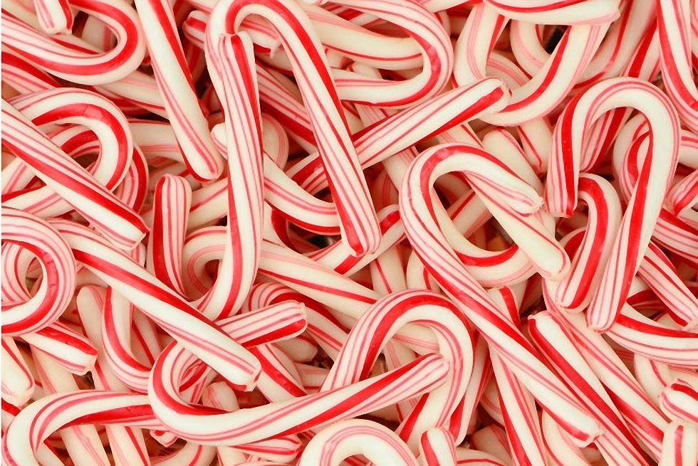 4 món tráng miệng mang tính biểu trưng của Giáng Sinh và những chuyện chưa kể - Ảnh 8. 4 món tráng miệng mang tính biểu trưng của Giáng Sinh và những chuyện chưa kể - Ảnh 8.