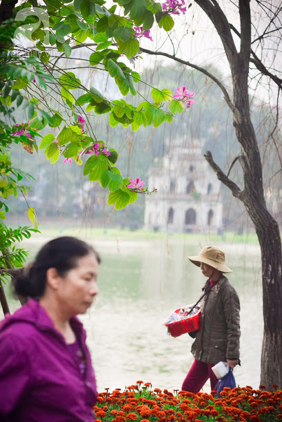 Ngắm hoa ban nở rợp quanh hồ, phố cổ Hà Nội những ngày chuyển giao năm cũ và năm mới - Ảnh 7.