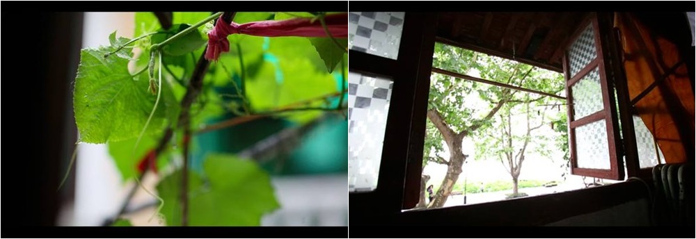 Nhà ống 24m² chật chội lột xác thành ngôi nhà đẹp hút mọi ánh nhìn - Ảnh 1. Nhà ống 24m² chật chội lột xác thành ngôi nhà đẹp hút mọi ánh nhìn - Ảnh 1.