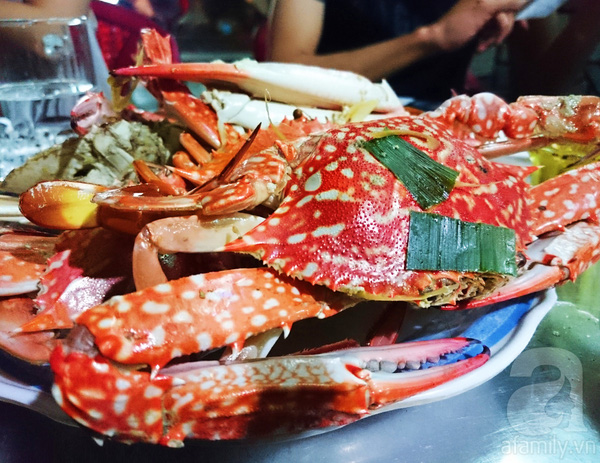 4 điểm đến gây chao đảo cộng đồng du lịch Việt năm 2016 - Ảnh 12. 4 điểm đến gây chao đảo cộng đồng du lịch Việt năm 2016 - Ảnh 12.