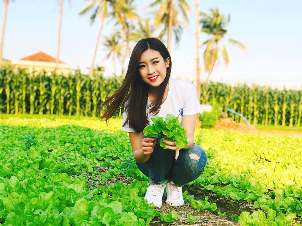 Hoa hậu Mỹ Linh mách hàng loạt món ăn vặt ngon, giá chỉ từ 3000đ ở xứ hoa vàng cỏ xanh - Ảnh 4. Hoa hậu Mỹ Linh mách hàng loạt món ăn vặt ngon, giá chỉ từ 3000đ ở xứ hoa vàng cỏ xanh - Ảnh 4.