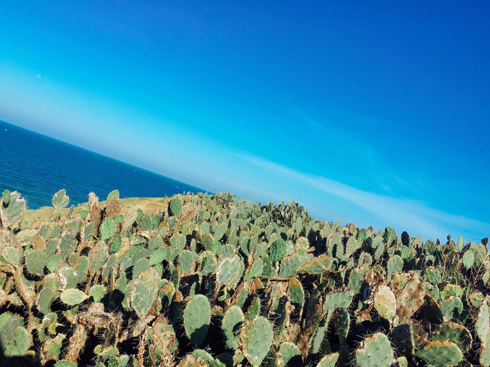 Hoa hậu Mỹ Linh mách hàng loạt món ăn vặt ngon, giá chỉ từ 3000đ ở xứ hoa vàng cỏ xanh - Ảnh 3. Hoa hậu Mỹ Linh mách hàng loạt món ăn vặt ngon, giá chỉ từ 3000đ ở xứ hoa vàng cỏ xanh - Ảnh 3.