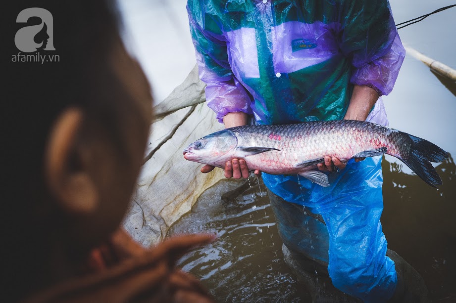 Về làng Vũ Đại giáp Tết, thưởng thức món cá kho đắt gấp trăm lần bình thường mà vẫn cháy hàng - Ảnh 3. Về làng Vũ Đại giáp Tết, thưởng thức món cá kho đắt gấp trăm lần bình thường mà vẫn cháy hàng - Ảnh 3.