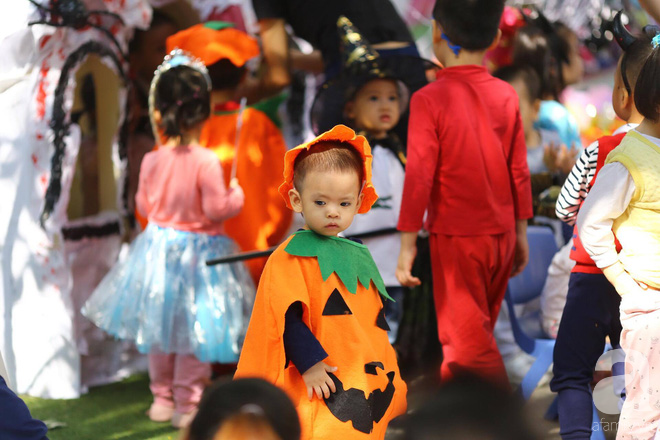 Những phù thủy, Elsa nhí siêu đáng yêu khuấy đảo không khí Halloween Sài Gòn, Hà Nội - Ảnh 9.