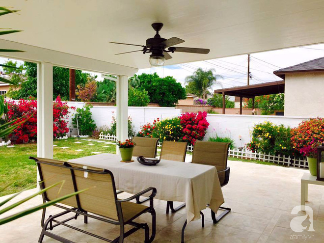 Nữ bác sỹ Việt tự tay cải tạo nhà cấp 4 rộng 600m² đầy cỏ hoang thành ngôi nhà vườn đáng mơ ước - Ảnh 3. Nữ bác sỹ Việt tự tay cải tạo nhà cấp 4 rộng 600m² đầy cỏ hoang thành ngôi nhà vườn đáng mơ ước - Ảnh 3.