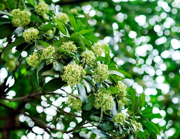 Lời tiên tri tháng 9 dành cho 12 con giáp - Ảnh 2. Lời tiên tri tháng 9 dành cho 12 con giáp - Ảnh 2.