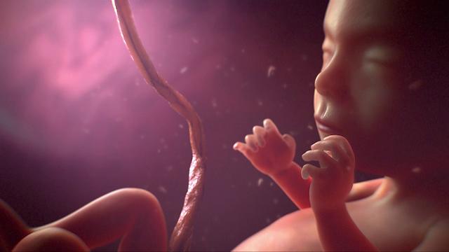 Điều thai nhi sợ hãi nhất khi còn ở trong bụng mẹ và việc mẹ bầu cần tránh - Ảnh 4.