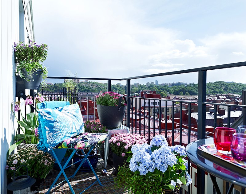 Biến ban-công nhỏ thành nơi thư giãn khiến hàng xóm phải thầm ao ước - Ảnh 8. Biến ban-công nhỏ thành nơi thư giãn khiến hàng xóm phải thầm ao ước - Ảnh 8.