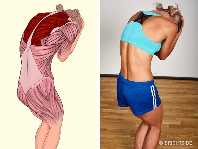18 hình ảnh này cho bạn thấy cơ bắp đã được căng giãn thế nào trong mỗi tư thế tập - Ảnh 8.
