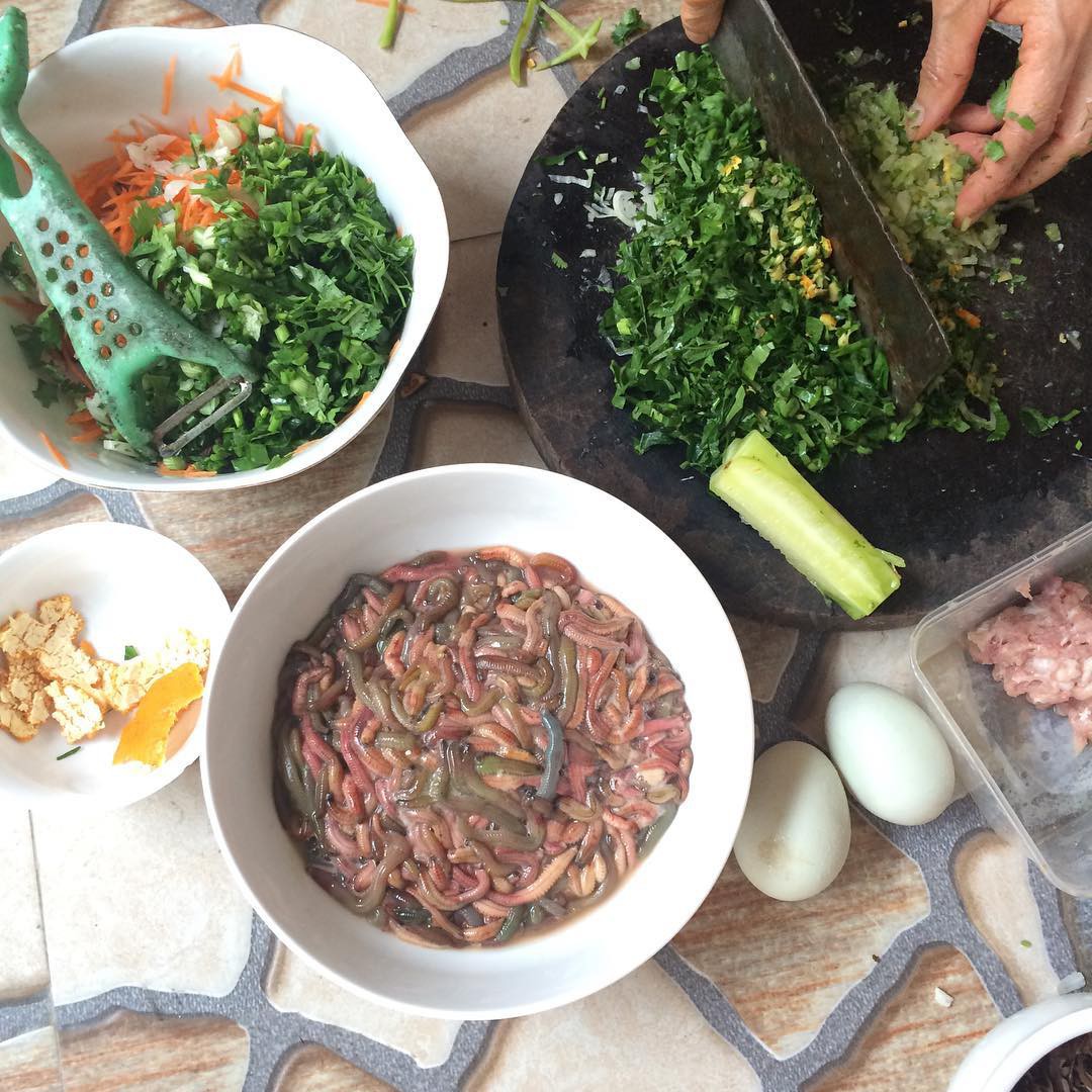 Rươi - món đặc sản nhìn thì sợ, nếm thử thì mê riêng có của miền Bắc - Ảnh 3. Rươi - món đặc sản nhìn thì sợ, nếm thử thì mê riêng có của miền Bắc - Ảnh 3.