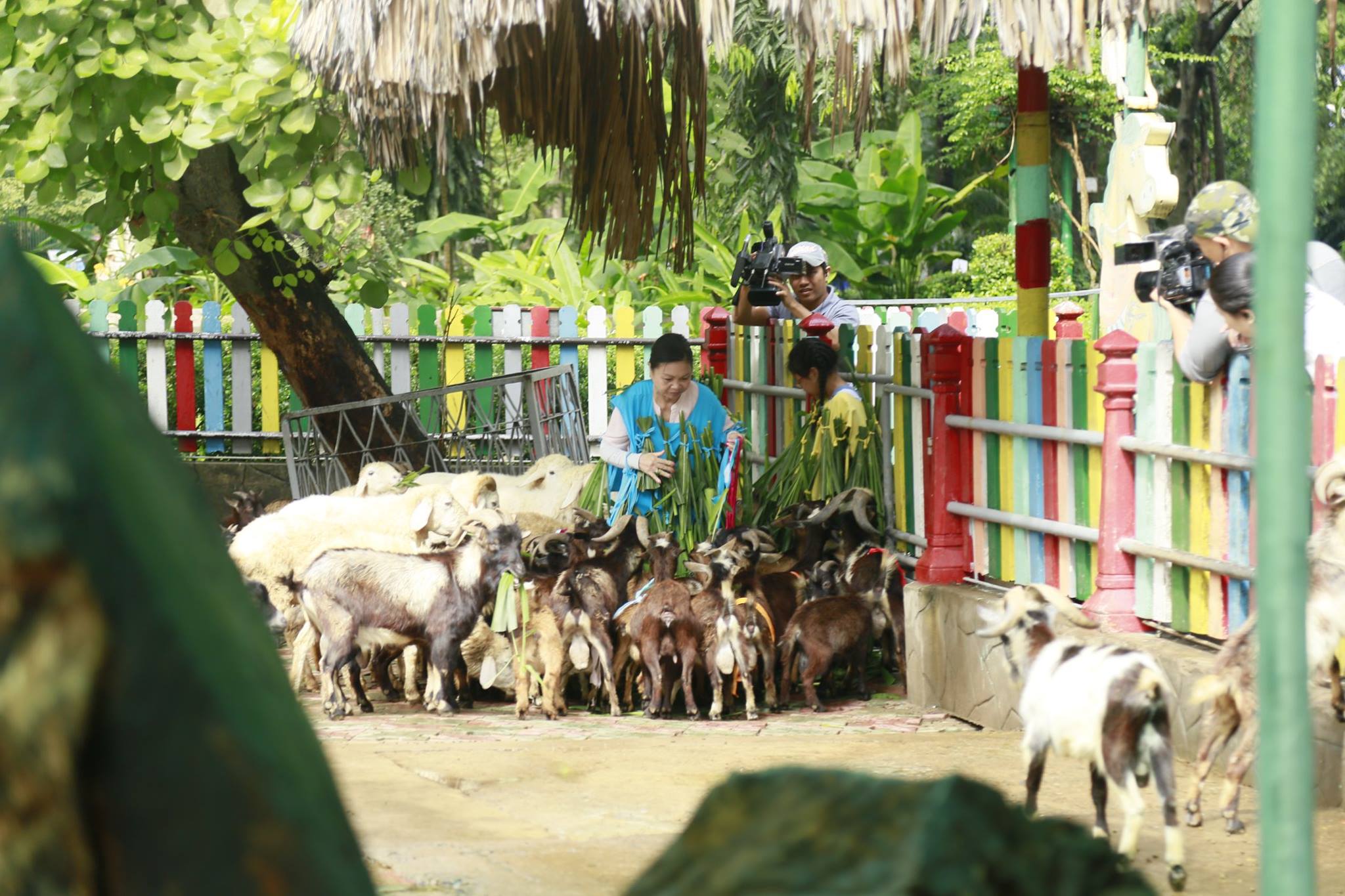 Hai bà cháu nhà Cẩm Ly thi nhau gạt nước mắt vì thử thách đáng sợ nhất trên đời - Ảnh 1. Hai bà cháu nhà Cẩm Ly thi nhau gạt nước mắt vì thử thách đáng sợ nhất trên đời - Ảnh 1.