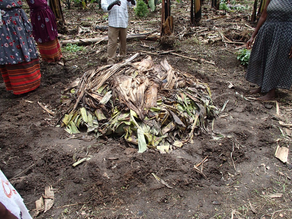 Thấy người dân đổ đống chuối vào thân cây gỗ rồi giẫm nát, ai cũng ghê nhưng không ngờ đây là thức uống vạn người mê - Ảnh 3. Thấy người dân đổ đống chuối vào thân cây gỗ rồi giẫm nát, ai cũng ghê nhưng không ngờ đây là thức uống vạn người mê - Ảnh 3.