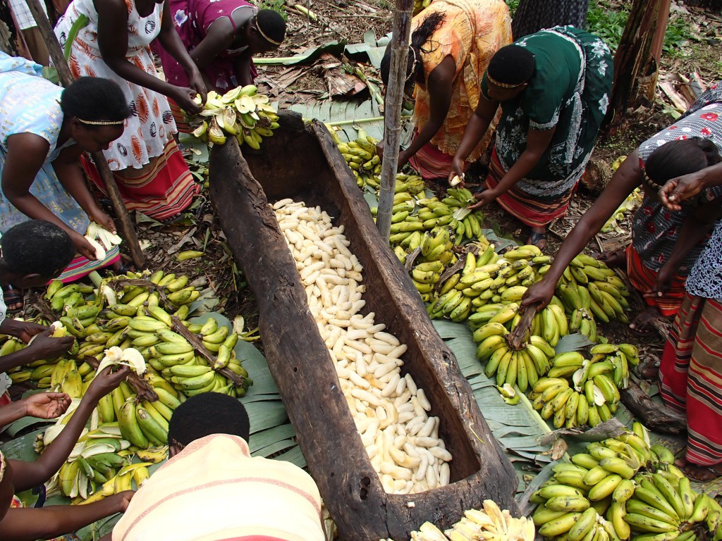 Thấy người dân đổ đống chuối vào thân cây gỗ rồi giẫm nát, ai cũng ghê nhưng không ngờ đây là thức uống vạn người mê - Ảnh 5. Thấy người dân đổ đống chuối vào thân cây gỗ rồi giẫm nát, ai cũng ghê nhưng không ngờ đây là thức uống vạn người mê - Ảnh 5.