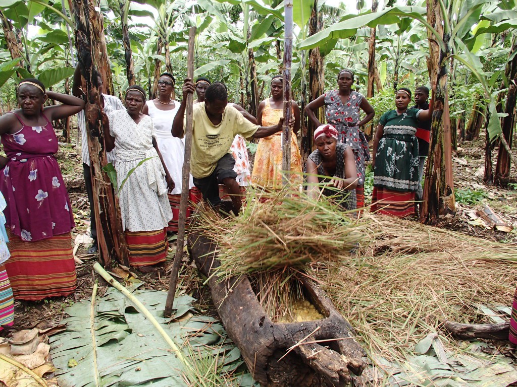 Thấy người dân đổ đống chuối vào thân cây gỗ rồi giẫm nát, ai cũng ghê nhưng không ngờ đây là thức uống vạn người mê - Ảnh 6. Thấy người dân đổ đống chuối vào thân cây gỗ rồi giẫm nát, ai cũng ghê nhưng không ngờ đây là thức uống vạn người mê - Ảnh 6.