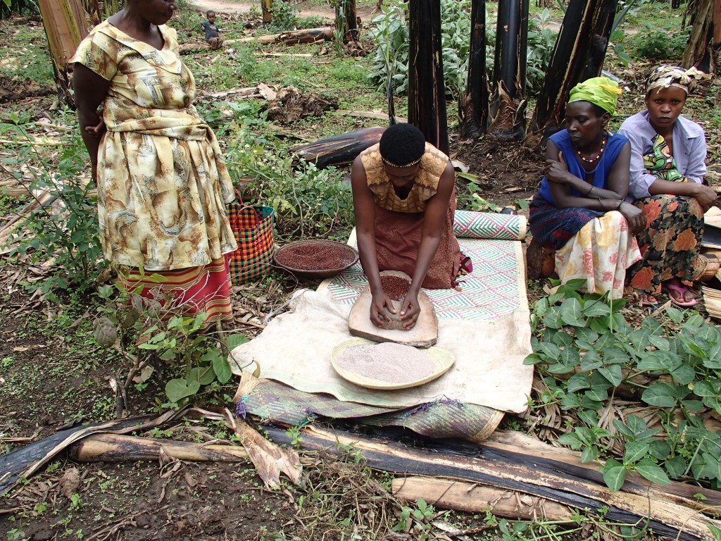Thấy người dân đổ đống chuối vào thân cây gỗ rồi giẫm nát, ai cũng ghê nhưng không ngờ đây là thức uống vạn người mê - Ảnh 7. Thấy người dân đổ đống chuối vào thân cây gỗ rồi giẫm nát, ai cũng ghê nhưng không ngờ đây là thức uống vạn người mê - Ảnh 7.