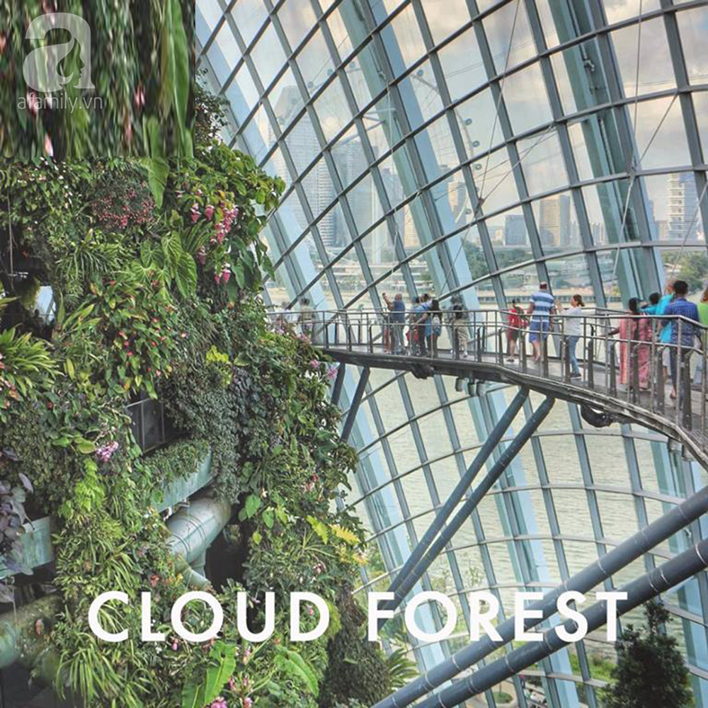 Đi du lịch Singapore, muốn có ảnh đẹp thì phải đến những nơi này - Ảnh 17. Đi du lịch Singapore, muốn có ảnh đẹp thì phải đến những nơi này - Ảnh 17.