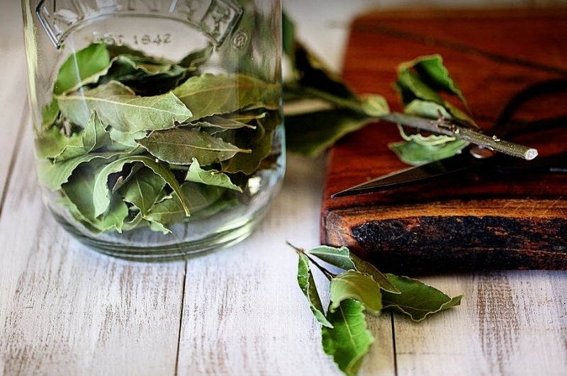 8 mẹo đuổi và diệt gián dễ làm mà an toàn với sức khỏe cả gia đình - Ảnh 3. 8 mẹo đuổi và diệt gián dễ làm mà an toàn với sức khỏe cả gia đình - Ảnh 3.