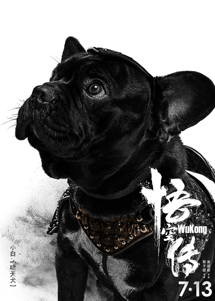 Khi không làm thiếu nữ ngôn tình, Trịnh Sảng vẫn đẹp rực rỡ thế này - Ảnh 9. Khi không làm thiếu nữ ngôn tình, Trịnh Sảng vẫn đẹp rực rỡ thế này - Ảnh 9.