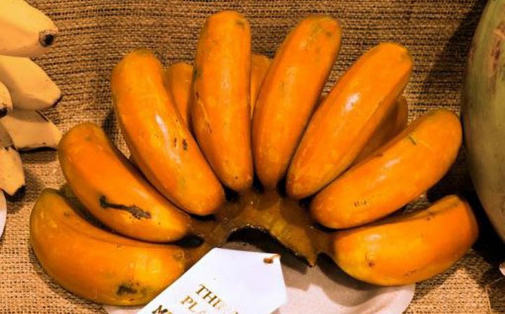 Những giống chuối kỳ lạ nhất thế giới có thể bạn chưa được nhìn thấy - Ảnh 3. Những giống chuối kỳ lạ nhất thế giới có thể bạn chưa được nhìn thấy - Ảnh 3.