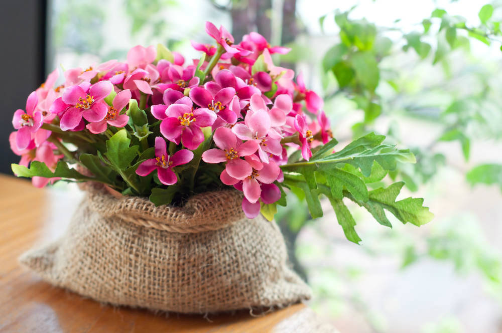 Không cần nhà cao cửa rộng, nếu có những thứ này gia đình sẽ luôn ngập tràn hạnh phúc - Ảnh 2. Không cần nhà cao cửa rộng, nếu có những thứ này gia đình sẽ luôn ngập tràn hạnh phúc - Ảnh 2.