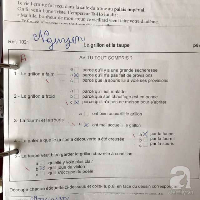 Học tiểu học ở Pháp: Không sách giáo khoa, không bài tập về nhà - Ảnh 5.