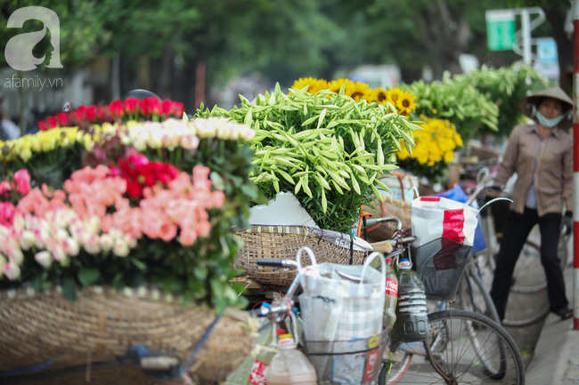 Hoa loa kèn đẹp ngỡ ngàng trên phố Hà Nội tháng Tư - Ảnh 3.