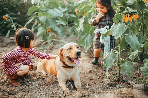 Mũm và Mầm - Đôi bạn thân động viên nhau KHÔNG SỢ CHÓ! để chụp bộ ảnh siêu yêu - Ảnh 2.