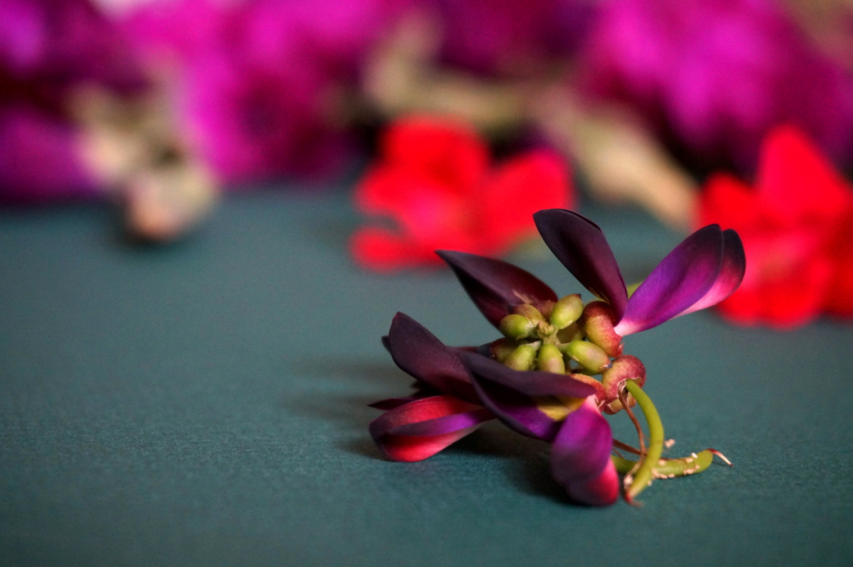 3 màu sắc được chọn là xu hướng trang trí nhà cho năm 2017 - Ảnh 10. 3 màu sắc được chọn là xu hướng trang trí nhà cho năm 2017 - Ảnh 10.