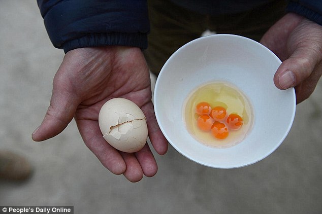 Quả trứng rất đỗi bình thường khiến cả gia đình sửng sốt khi ăn  - Ảnh 1.