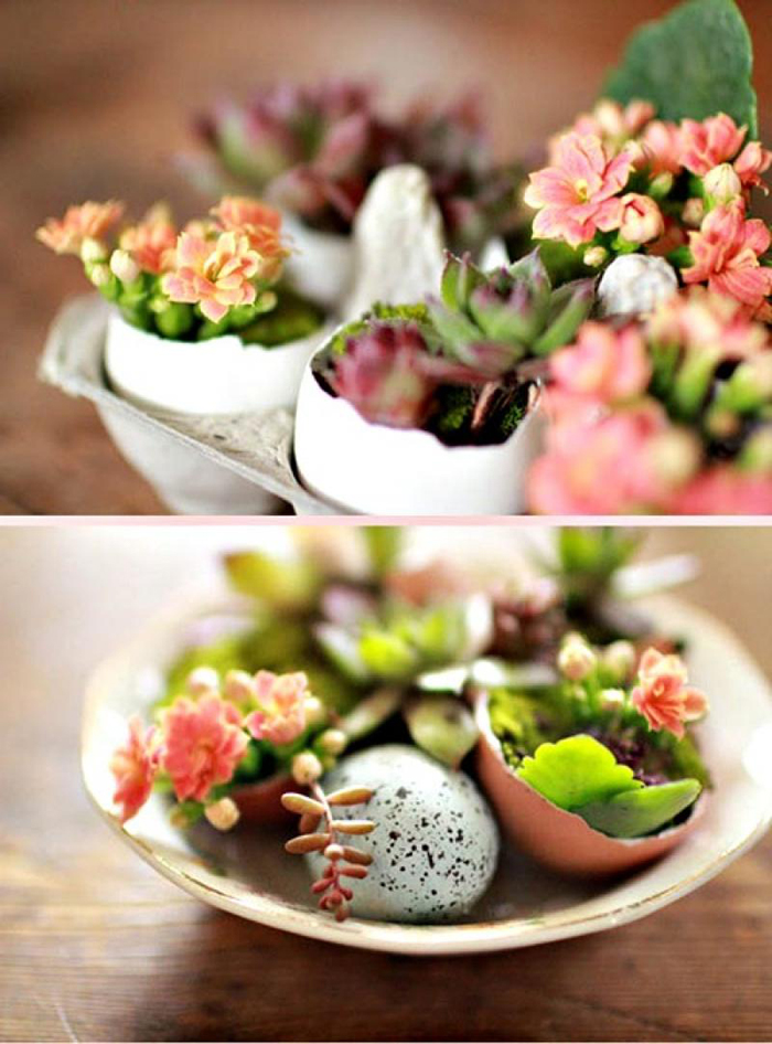 11 cách tận dụng vỏ trứng để trang trí nhà - giải pháp vừa rẻ vừa độc đáo đến khó tin - Ảnh 7. 11 cách tận dụng vỏ trứng để trang trí nhà - giải pháp vừa rẻ vừa độc đáo đến khó tin - Ảnh 7.
