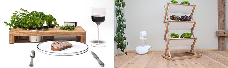 15 thiết kế chậu trồng cây gia vị thông minh và hiện đại cho những không gian nhỏ - Ảnh 9. 15 thiết kế chậu trồng cây gia vị thông minh và hiện đại cho những không gian nhỏ - Ảnh 9.