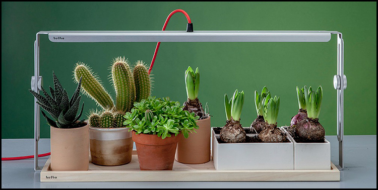 15 thiết kế chậu trồng cây gia vị thông minh và hiện đại cho những không gian nhỏ - Ảnh 10. 15 thiết kế chậu trồng cây gia vị thông minh và hiện đại cho những không gian nhỏ - Ảnh 10.