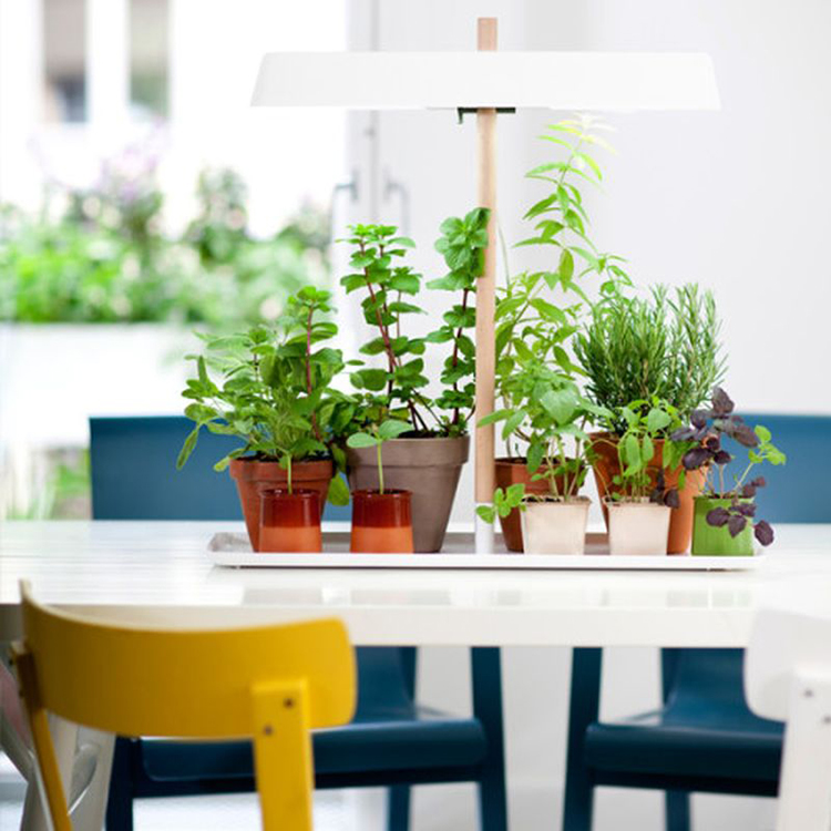 15 thiết kế chậu trồng cây gia vị thông minh và hiện đại cho những không gian nhỏ - Ảnh 11. 15 thiết kế chậu trồng cây gia vị thông minh và hiện đại cho những không gian nhỏ - Ảnh 11.