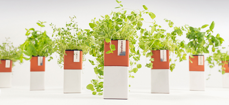 15 thiết kế chậu trồng cây gia vị thông minh và hiện đại cho những không gian nhỏ - Ảnh 13. 15 thiết kế chậu trồng cây gia vị thông minh và hiện đại cho những không gian nhỏ - Ảnh 13.