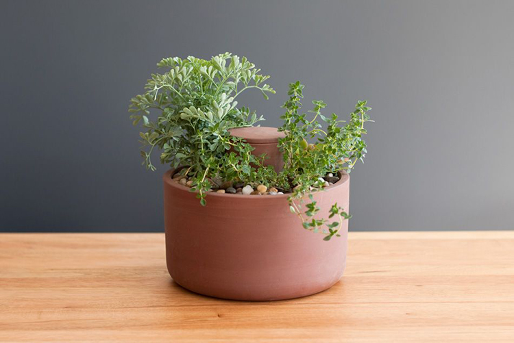 15 thiết kế chậu trồng cây gia vị thông minh và hiện đại cho những không gian nhỏ - Ảnh 16. 15 thiết kế chậu trồng cây gia vị thông minh và hiện đại cho những không gian nhỏ - Ảnh 16.