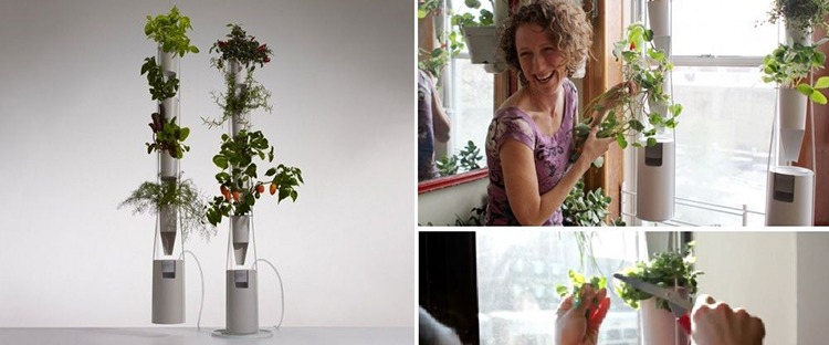 15 thiết kế chậu trồng cây gia vị thông minh và hiện đại cho những không gian nhỏ - Ảnh 17. 15 thiết kế chậu trồng cây gia vị thông minh và hiện đại cho những không gian nhỏ - Ảnh 17.