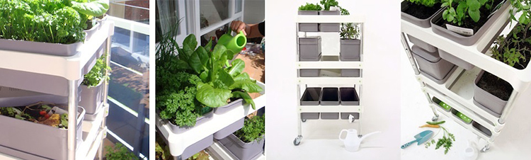 15 thiết kế chậu trồng cây gia vị thông minh và hiện đại cho những không gian nhỏ - Ảnh 18. 15 thiết kế chậu trồng cây gia vị thông minh và hiện đại cho những không gian nhỏ - Ảnh 18.