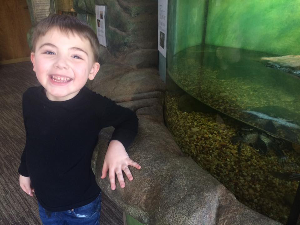 Có gì trong clip cậu bé 6,5 tuổi tự cài khóa áo gây bão khắp mạng xã hội? - Ảnh 2. Có gì trong clip cậu bé 6,5 tuổi tự cài khóa áo gây bão khắp mạng xã hội? - Ảnh 2.