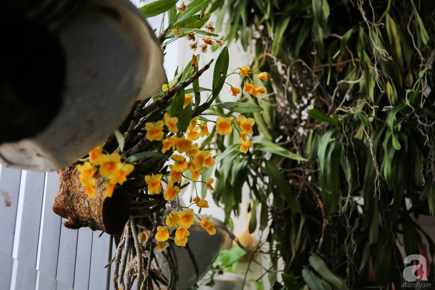 Căn hộ được trang trí bằng họa tiết con công đầy hoài niệm với view tuyệt đẹp nhìn ra sông Hồng - Ảnh 11. Căn hộ được trang trí bằng họa tiết con công đầy hoài niệm với view tuyệt đẹp nhìn ra sông Hồng - Ảnh 11.