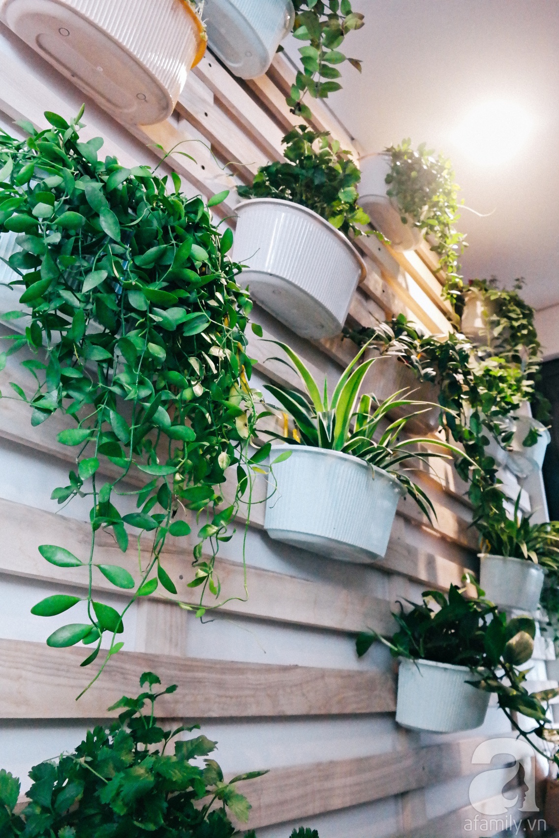 Căn hộ được trang trí bằng họa tiết con công đầy hoài niệm với view tuyệt đẹp nhìn ra sông Hồng - Ảnh 15. Căn hộ được trang trí bằng họa tiết con công đầy hoài niệm với view tuyệt đẹp nhìn ra sông Hồng - Ảnh 15.