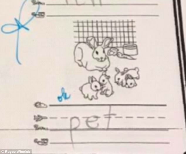 Hại não với bài tập về nhà dành cho trẻ... 5 tuổi - Ảnh 2.