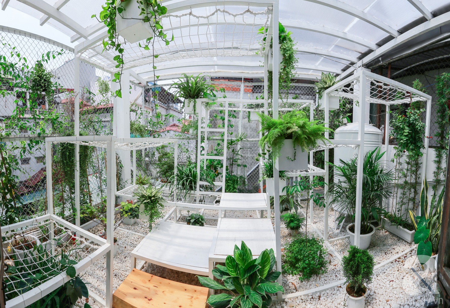 Khu vườn “điều hòa” không sợ nắng mùa hè của chủ nhân 9x ở Thái Thịnh, Hà Nội - Ảnh 1. Khu vườn “điều hòa” không sợ nắng mùa hè của chủ nhân 9x ở Thái Thịnh, Hà Nội - Ảnh 1.