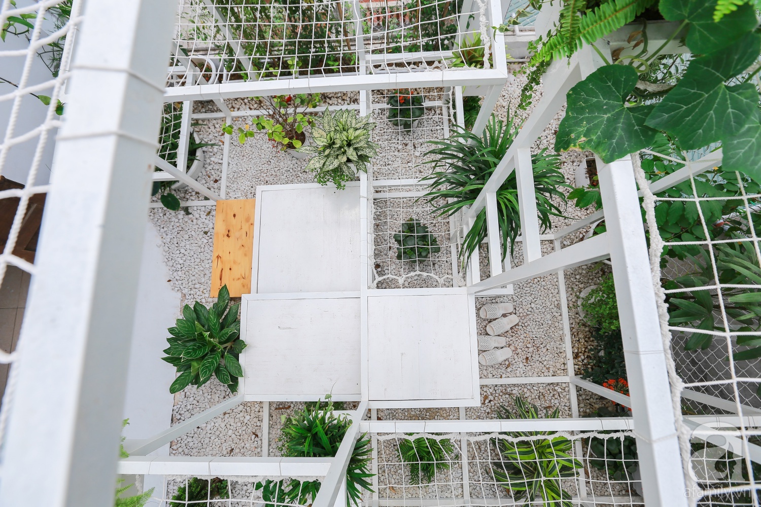 Khu vườn “điều hòa” không sợ nắng mùa hè của chủ nhân 9x ở Thái Thịnh, Hà Nội - Ảnh 4. Khu vườn “điều hòa” không sợ nắng mùa hè của chủ nhân 9x ở Thái Thịnh, Hà Nội - Ảnh 4.