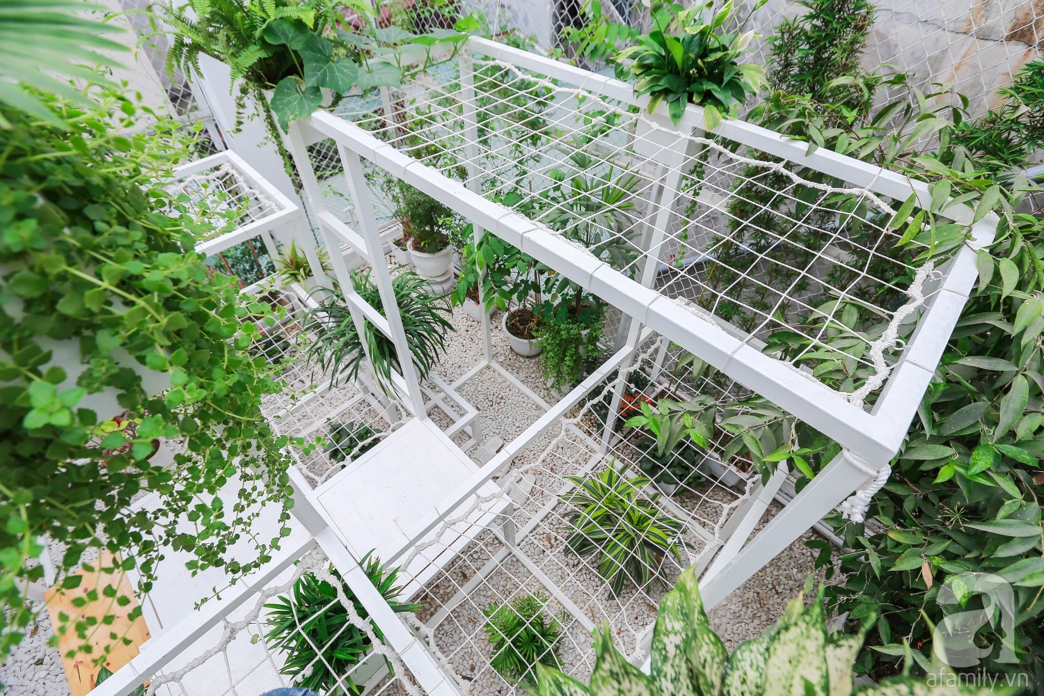 Khu vườn “điều hòa” không sợ nắng mùa hè của chủ nhân 9x ở Thái Thịnh, Hà Nội - Ảnh 9. Khu vườn “điều hòa” không sợ nắng mùa hè của chủ nhân 9x ở Thái Thịnh, Hà Nội - Ảnh 9.