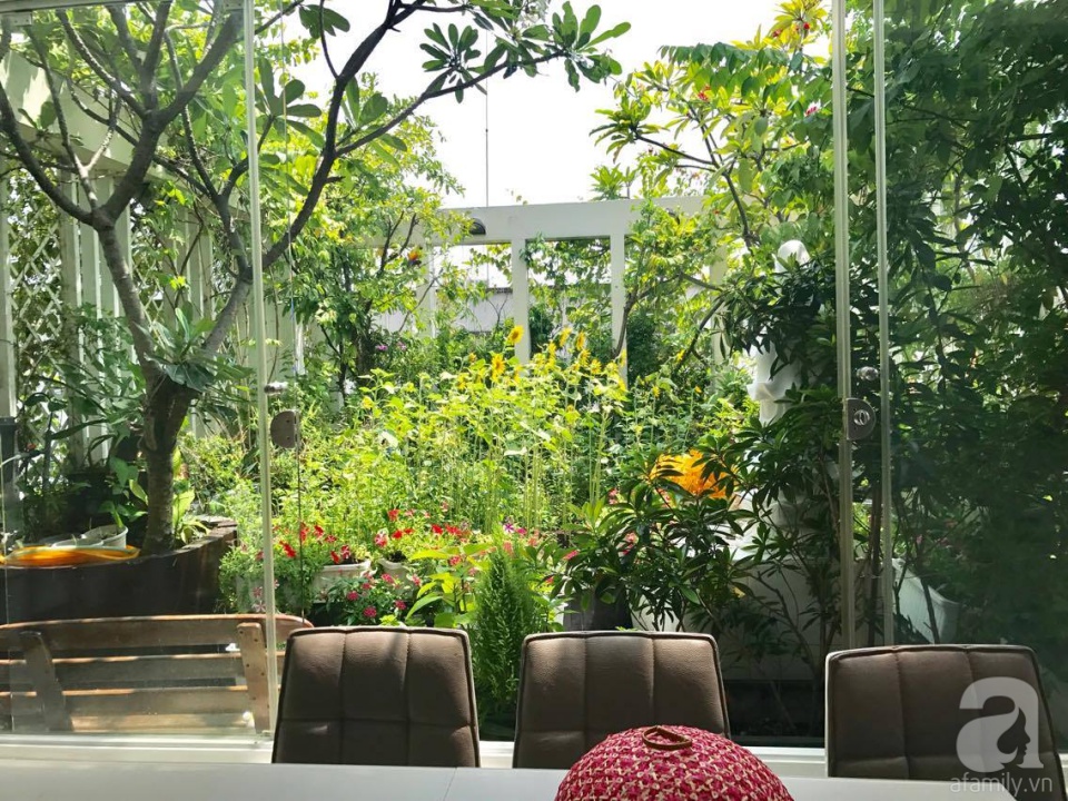Khu vườn trên sân thượng rộng tới 200m² bạt ngàn rau quả sạch của nữ doanh nhân Sài Thành - Ảnh 7. Khu vườn trên sân thượng rộng tới 200m² bạt ngàn rau quả sạch của nữ doanh nhân Sài Thành - Ảnh 7.