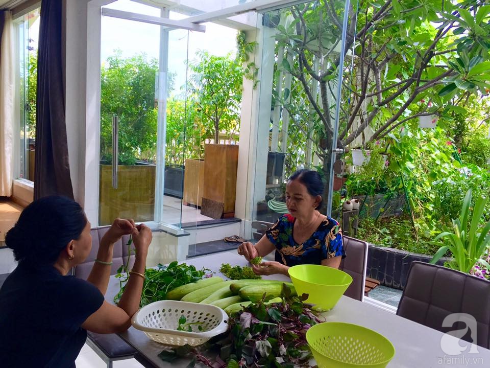 Khu vườn trên sân thượng rộng tới 200m² bạt ngàn rau quả sạch của nữ doanh nhân Sài Thành - Ảnh 10. Khu vườn trên sân thượng rộng tới 200m² bạt ngàn rau quả sạch của nữ doanh nhân Sài Thành - Ảnh 10.