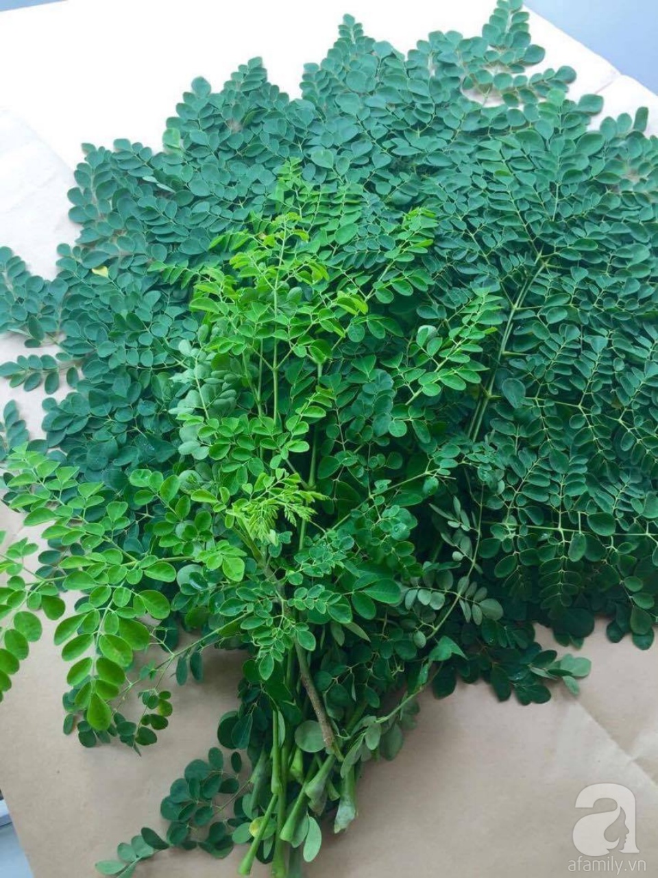 Khu vườn trên sân thượng rộng tới 200m² bạt ngàn rau quả sạch của nữ doanh nhân Sài Thành - Ảnh 14. Khu vườn trên sân thượng rộng tới 200m² bạt ngàn rau quả sạch của nữ doanh nhân Sài Thành - Ảnh 14.