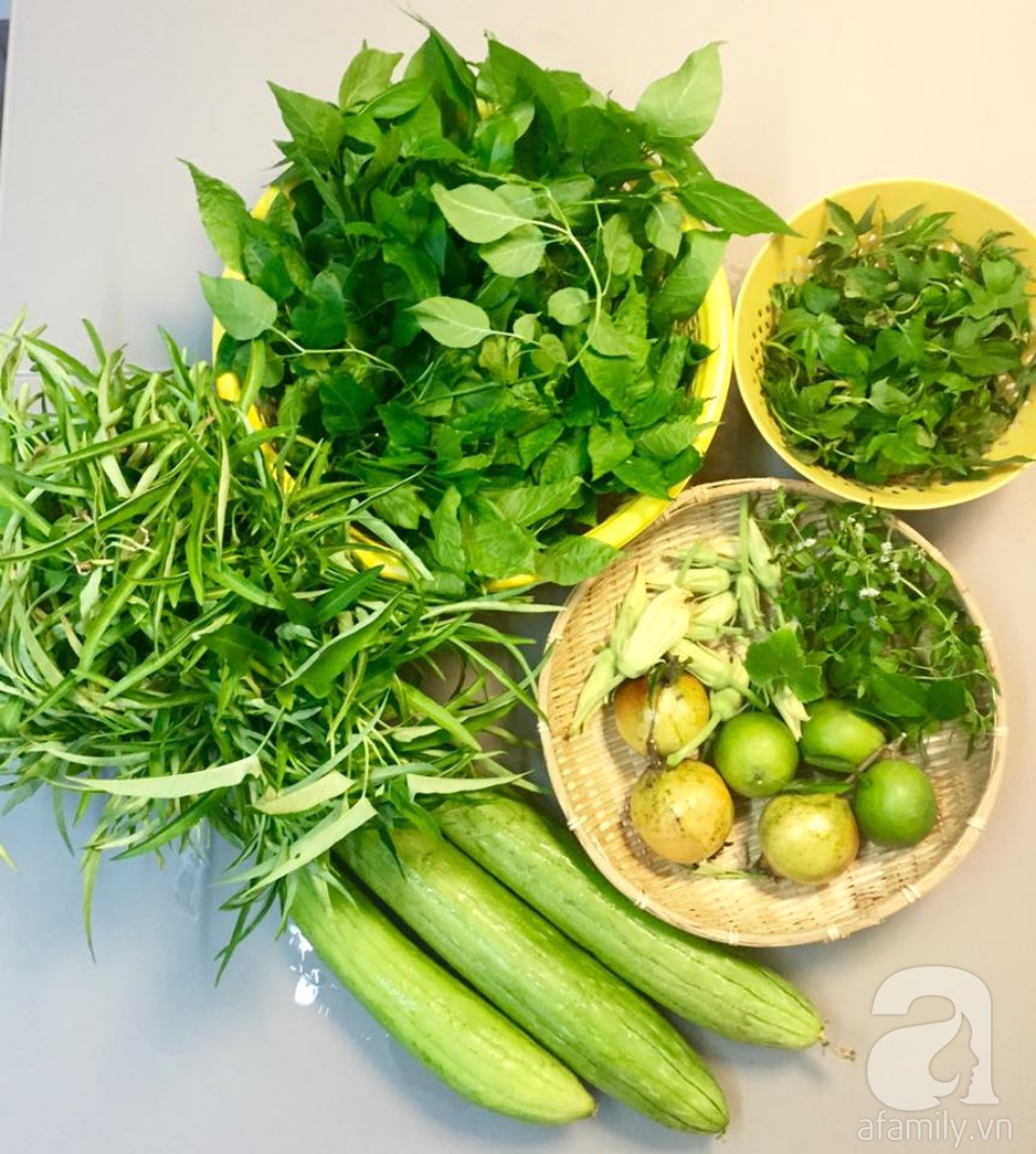 Khu vườn trên sân thượng rộng tới 200m² bạt ngàn rau quả sạch của nữ doanh nhân Sài Thành - Ảnh 28. Khu vườn trên sân thượng rộng tới 200m² bạt ngàn rau quả sạch của nữ doanh nhân Sài Thành - Ảnh 28.