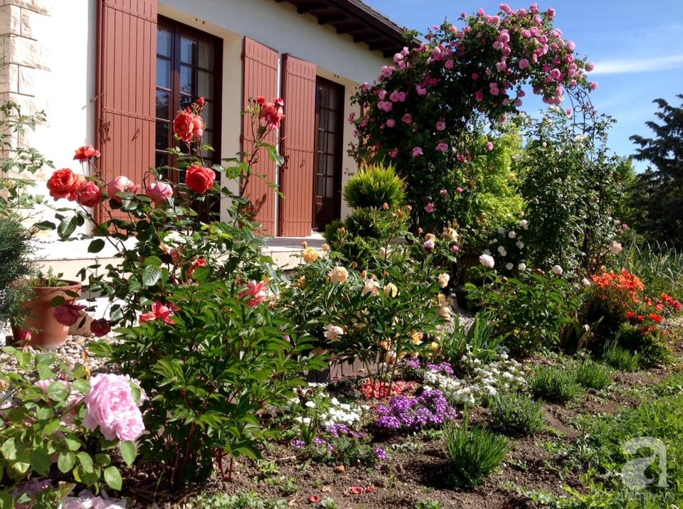 Khu vườn hoa hồng rộng hơn 1 hecta đẹp như cổ tích của người phụ nữ sinh ra ở chốn ngàn hoa - Ảnh 4. Khu vườn hoa hồng rộng hơn 1 hecta đẹp như cổ tích của người phụ nữ sinh ra ở chốn ngàn hoa - Ảnh 4.